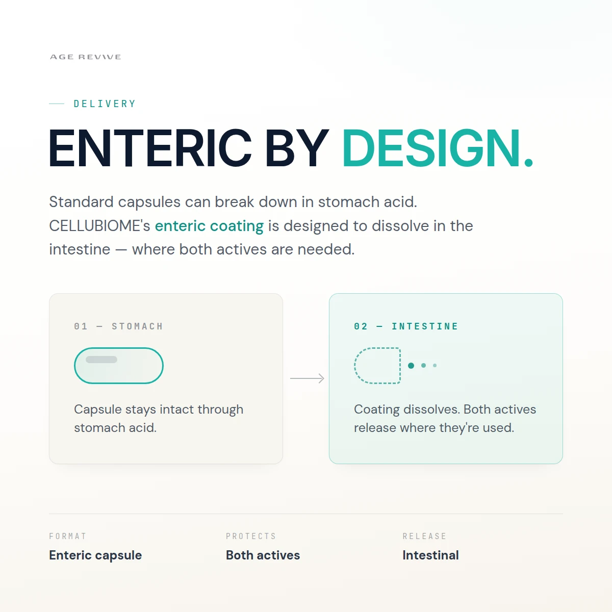 Enteric delivery, designed to release in the intestine rather than the stomach